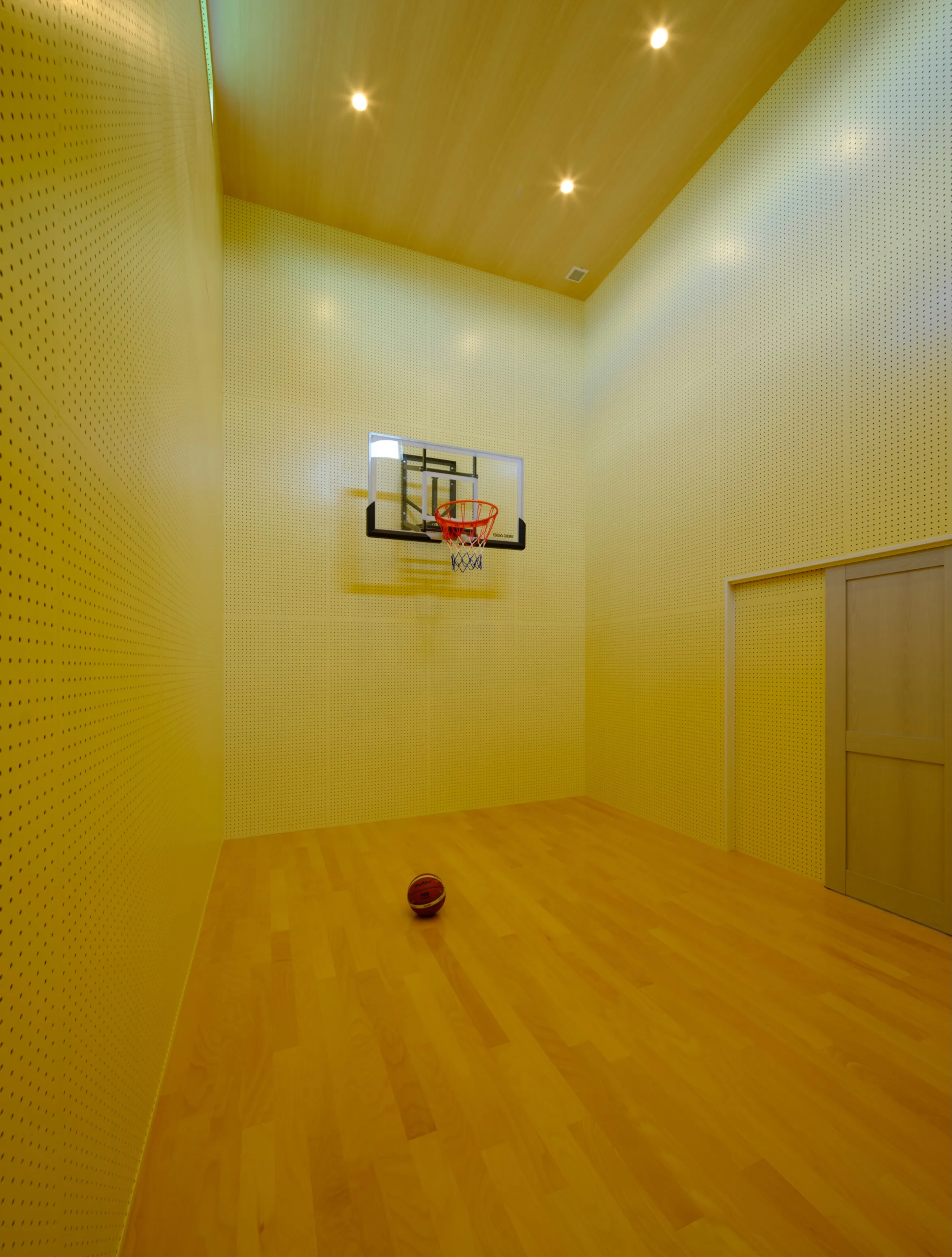 🏀 家の中に、バスケットコート。